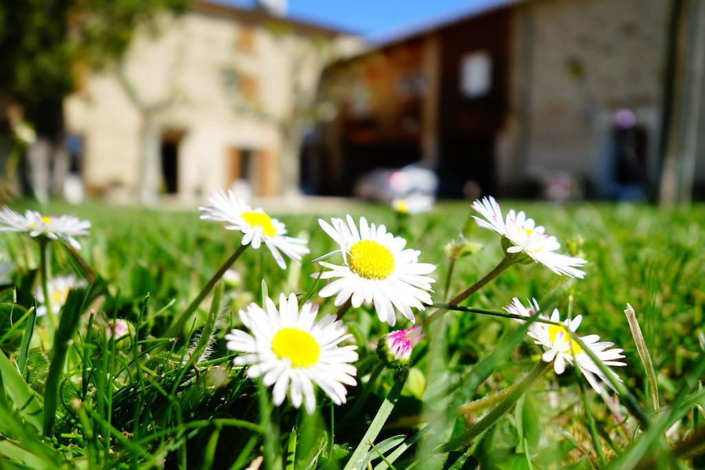 La Ferme Des Denis Chambres Dhotes Chanos-Curson Exterior foto